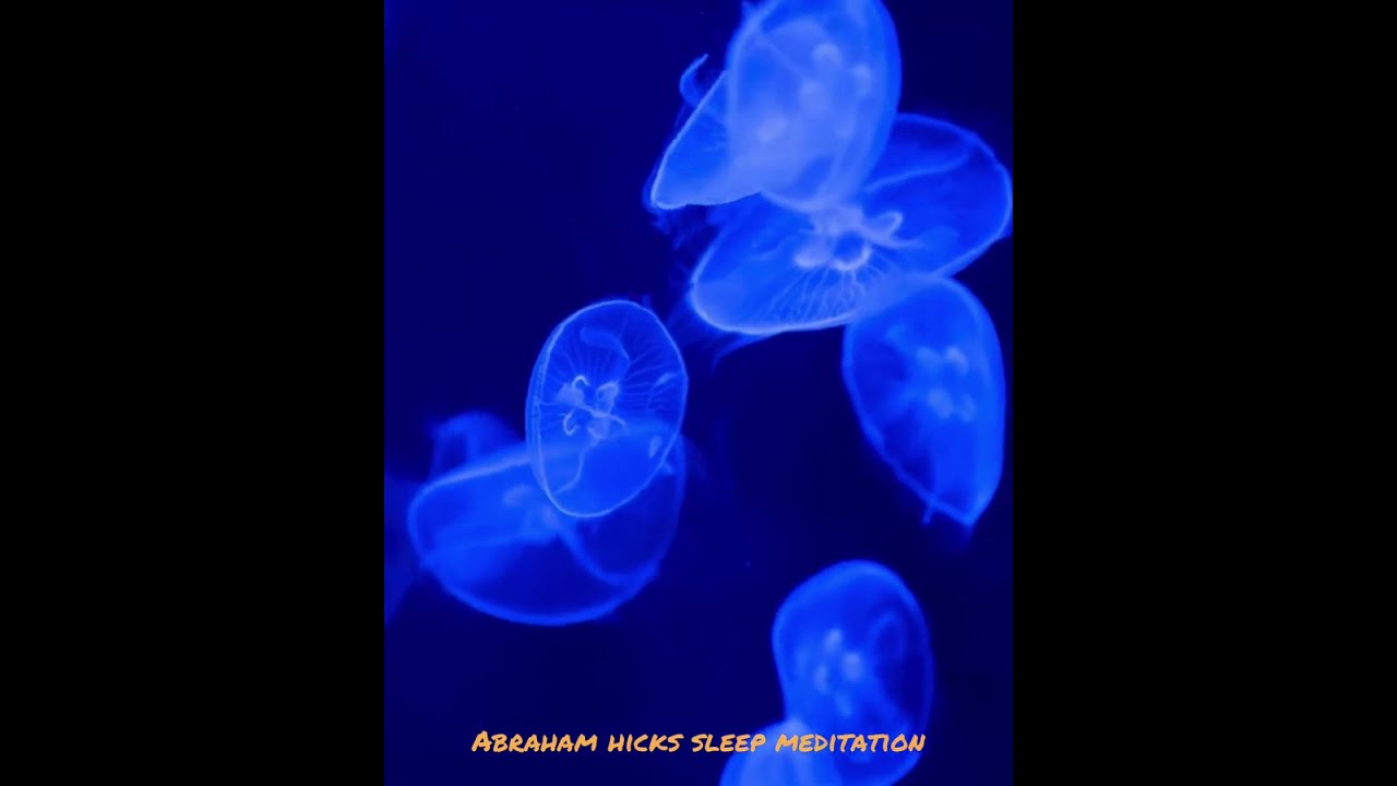 Relaxing Visual Abraham Hicks Sleep Meditation Cleanse Your Mind 