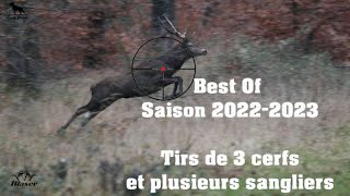 Chasse Cerfs, Sangliers, Chevreuils / Best Of 2022-2023