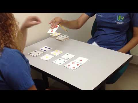 Wisconsin Card Sorting Test