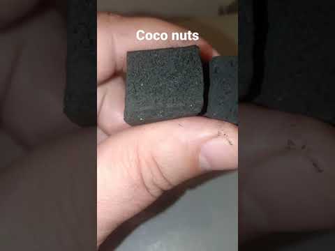 فحم 2 كيف تفرق بين فحم قشور جوز الهند وبين اي نوع اخر من الفحم