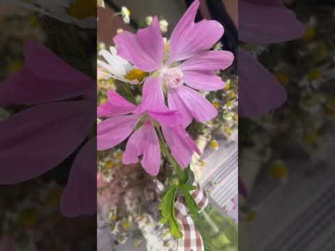 Ty barvy 👌🌸💕🍀🌼