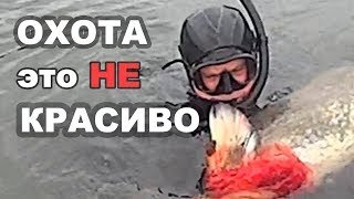 Подводная охота - это НЕ красиво! Spearfishing - is not beautiful!