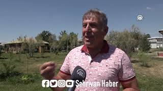 Muradiye Şelalesinin Debisi Sıcak Hava Ve Buharlaşma Nedeniyle Düştü