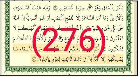 سورة النحل رقم الصفحة 276 مجود بصوت القارئ الشيخ أيمن سويد حفظه الله