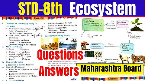STD 8th Science chapter 18 Ecosystem Questions and answers Maharashtra Board class 8