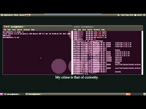 Simple Buffer Overflow Exploit clip1