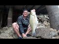 Middle of video