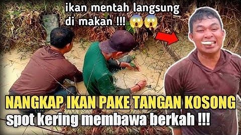KEREN WARGA KAMPUNG INI JAGONYA TANGKAP IKAN PAKE TANGAN KOSONG | SAAT MUSIM KEMARAU‼️