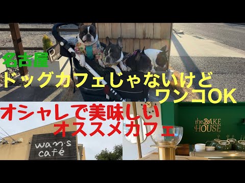 wan's cafe ワンズカフェ the BAKE HOUSE ザベイクハウス 【 フレンチブルドッグ french_bulldog 】