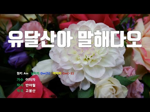 [은성 반주기] 유달산아말해다오 - 이미자