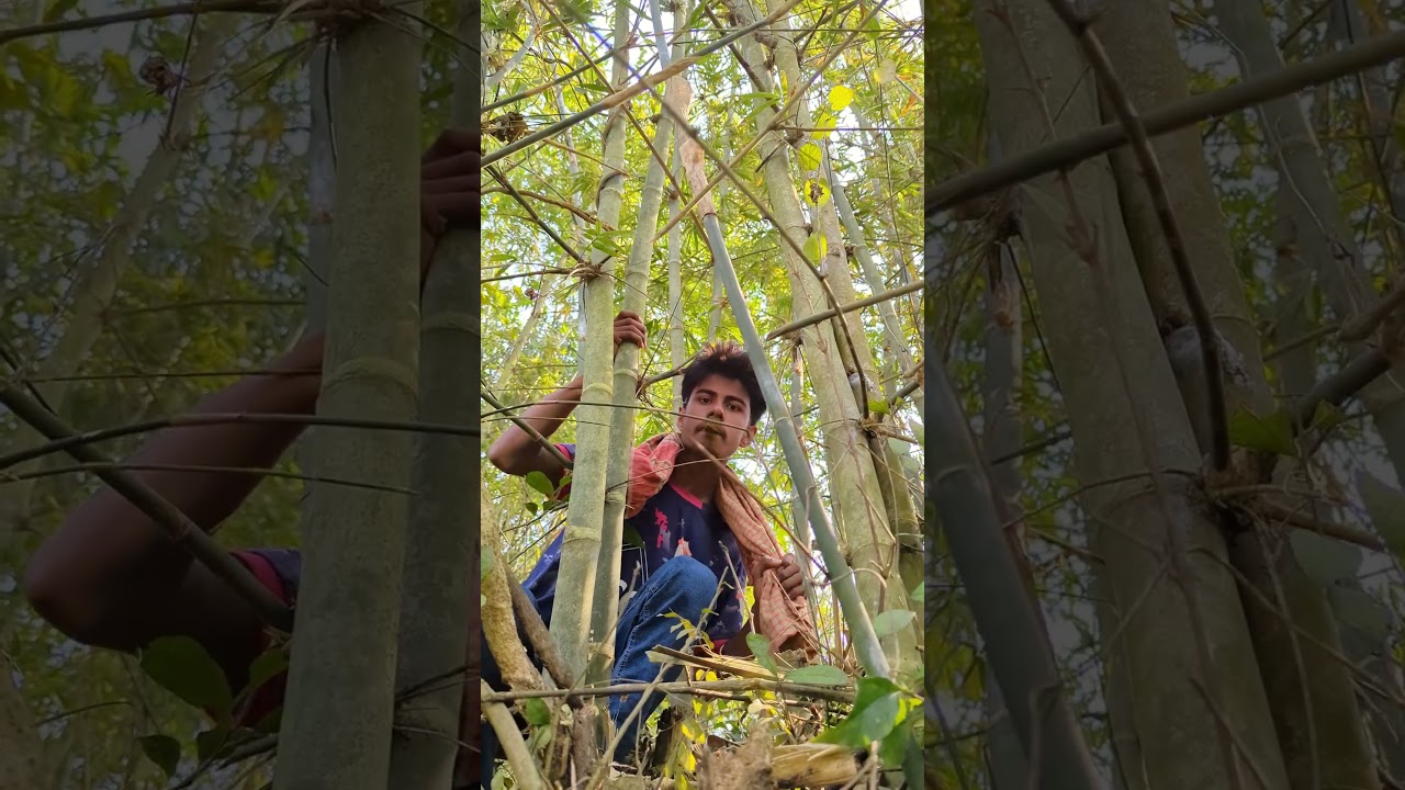 "New techniques for catching parrots."