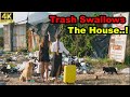 Haunted Abandoned House Restoration | Shocking Transformation Begins 🛠️