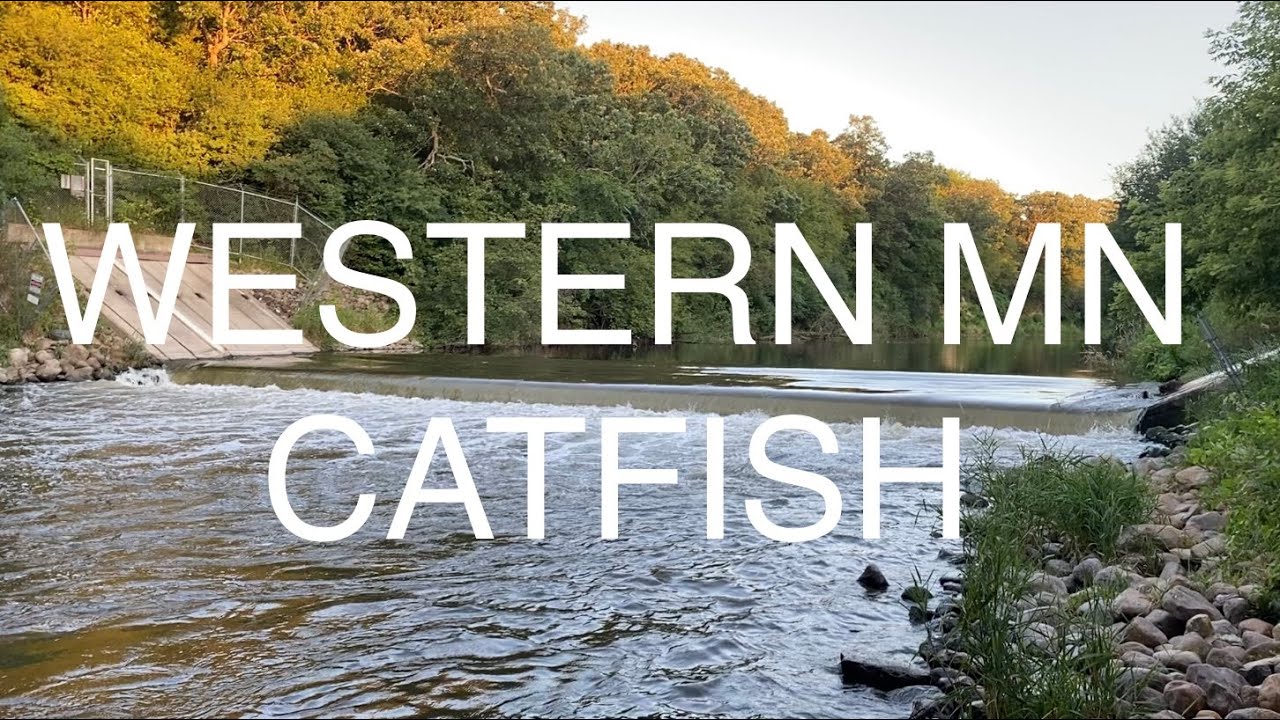 Western Minnesota catfish YouTube