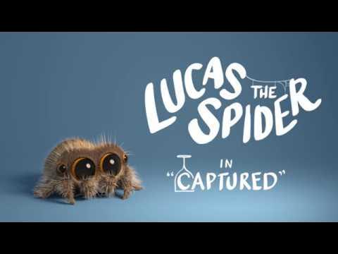 Lucas the Spider - Captured - Short