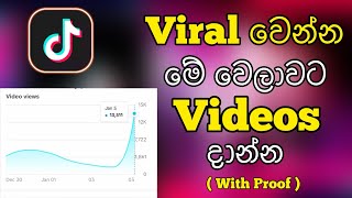 The Best Time To Post On Tik Tok To Go Viral In 2024 In Sinhala | 100 % Working With Proof