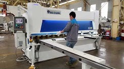 ACCURL Master Hydraulic Guillotine Shear MS8-6x3200mm with ELGO P40T CNC - Pneumatic support