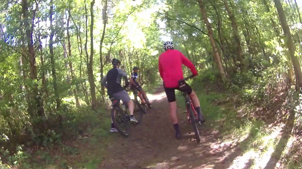 12f Blidworth Woods 2 YouTube