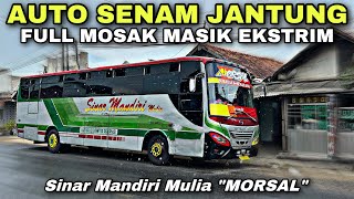 Auto Senam Jantung Naik Bus Ini 😱 Full Mosak Masik Ekstrim ❗️| trip SINAR MANDIRI MULIA “ Morsal “