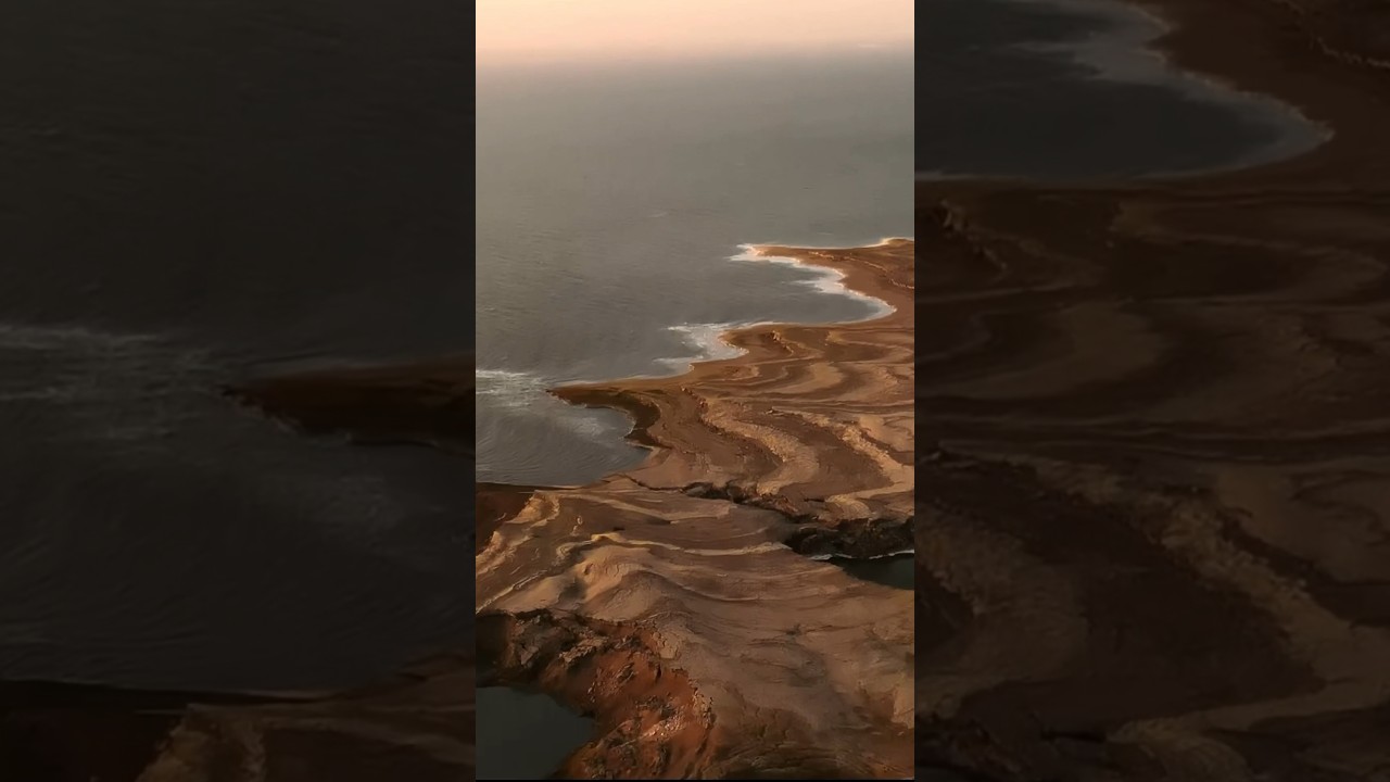 Свои Тревел 