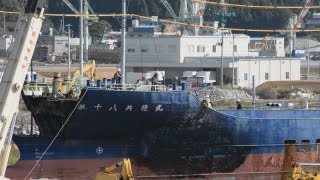 大型漁船「第１８共徳丸」解体進む