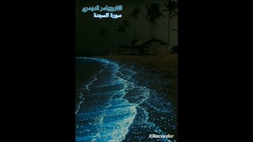 #ياسر_الدوسري#قرآن|ما تيسر من سورة السجدة💙