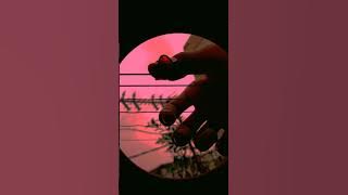 Fallen Kingdom - Shalom Margaret (fingerstyle cover)