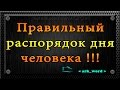 Правильный распорядок дня взрослого человека по часам. Здоровый образ жизни.