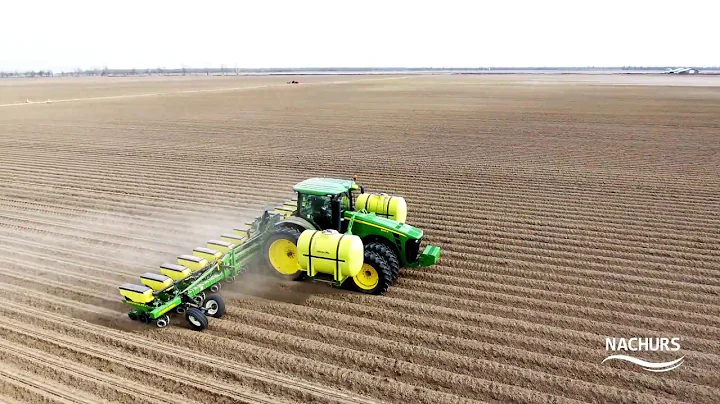 Planting corn in-furrow with NACHURS technology products
