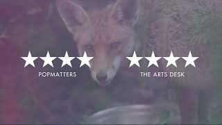 The Bevis Frond - Focus On Nature (Album Out Now Trailer)