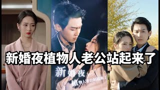 新婚之夜：植物人老公的惊人反转