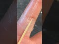 アラビックフィンガーチャレンジ