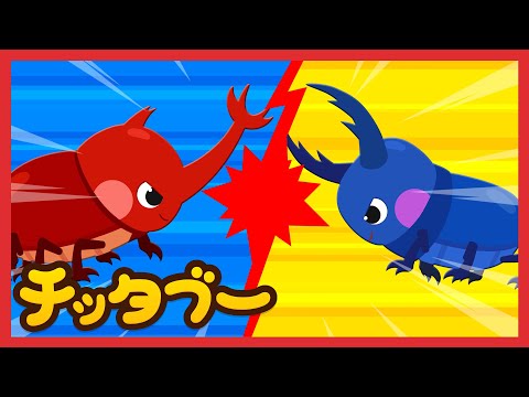 カブトムシ Vs クワガタ Rhino Beetle Vs Stag Beetle 生き物の歌 昆虫の歌 キッズソング 子どもの歌 チッタブー