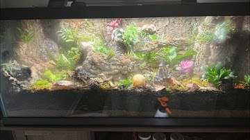 How to Drain and Remove water from drainage Layer in Vivarium  - Terrarium using a clean out pipe
