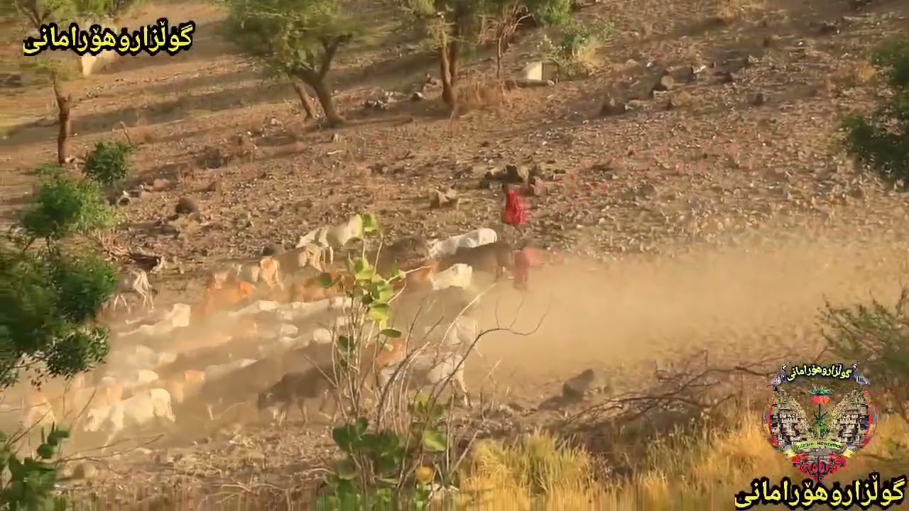 ٢٦ أيلول، ٢٠٢٥