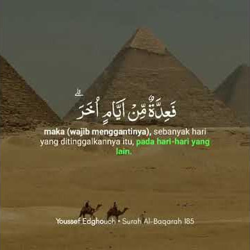 STORY WA, MUROTAL AL QUR'AN MERDU