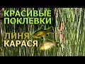 Рыбалка на поплавок.КРАСИВЫЕ ПОКЛЕВКИ ЛИНЯ,КАРАСЯ.