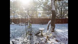 goodbye winter timelapse