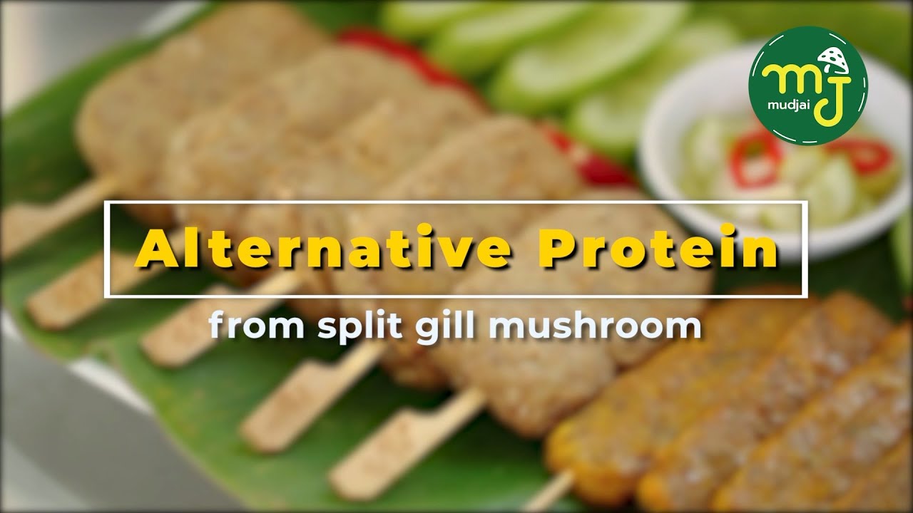 MJ Plant Based Food - Alternative Protein - YouTube