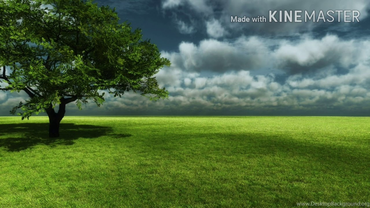 Tobu candyland song 🎵🎵🎵🎵 YouTube