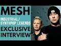 Mesh - Interview with Rich Silverthorn and Mark Hockings