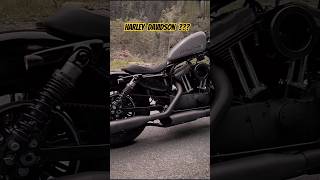 Harley Davidson Roadster😎😎#harleydavidson #roadster #short