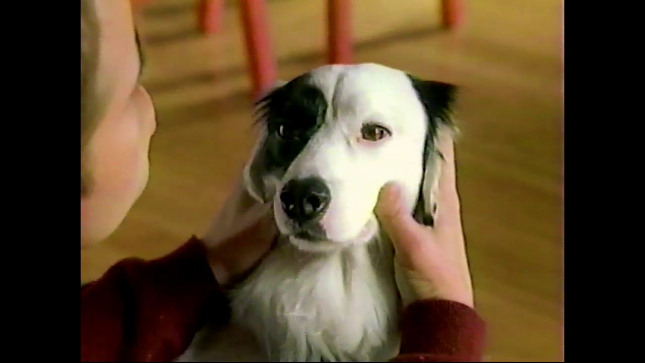 Beneful Dog Food Commercial (2003) YouTube