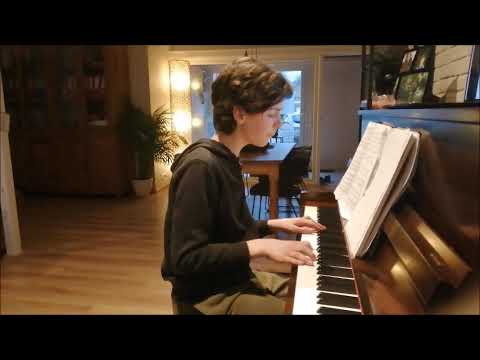 'Mercy' Shawn Mendes - cover by Tamsen Devaere