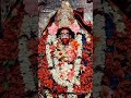 আমাকে একটু শান্তি দাও মা _ tara Moye _ joi Baba Moni 🌺 joi maa Tara #maa #maatara #taramaa #shorts