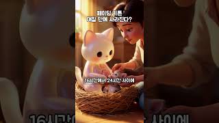 태어난 지 며칠 만에 사라진다? 새끼 고양이 ‘페이딩 키튼’  #고양이상식