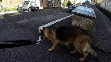 Gitup F1 Video Sample - Walk test