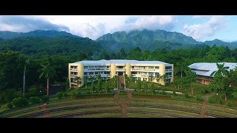 Data Editor, R Scripts and Debugging