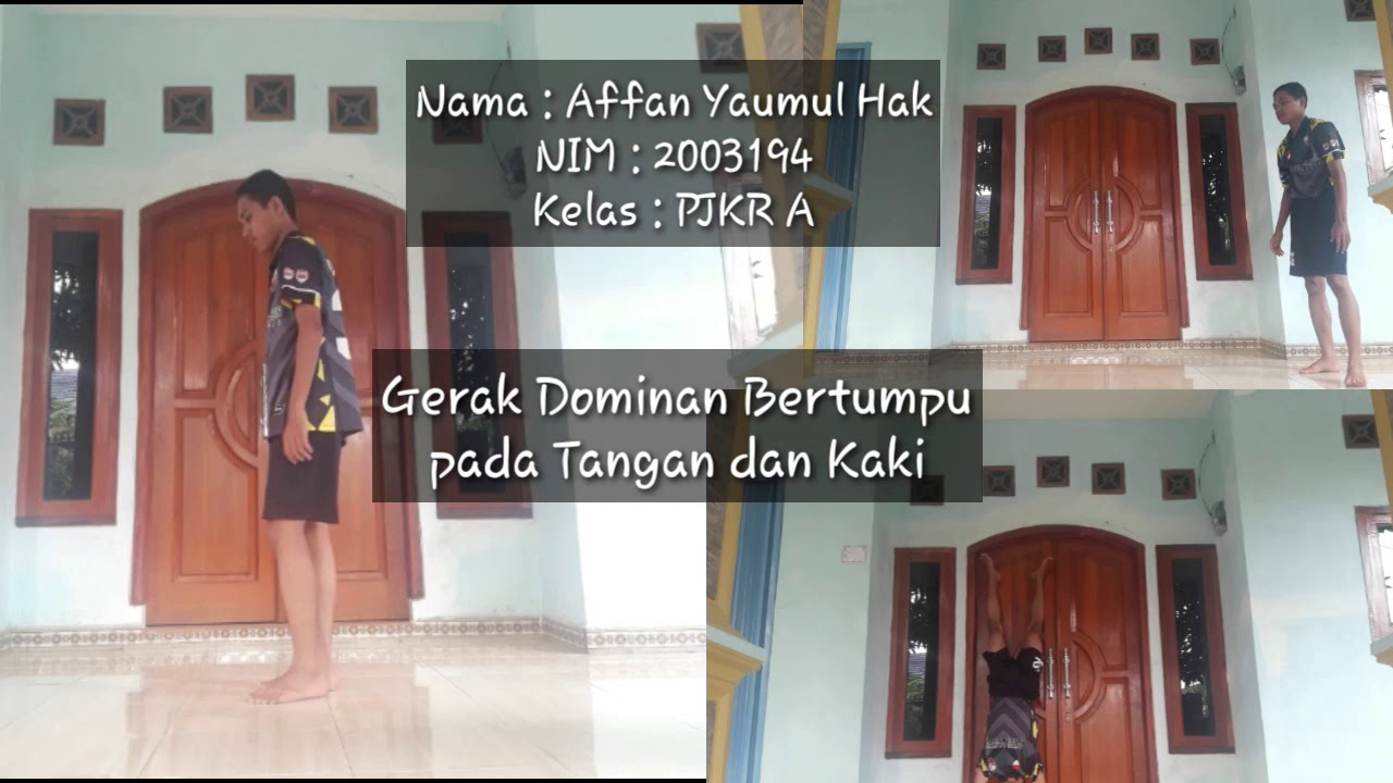 Gerak Dominan Bertumpu pada Tangan dan Kaki YouTube