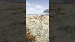 How to Spawn Virginia & Make Instant Companion #sonsoftheforest #shorts