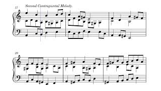 Counterpoint Exercises.